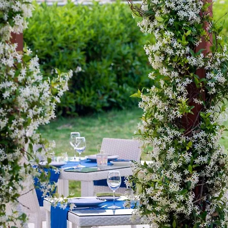 מלון Kairaba Bodrum Princess And טורגוטריס